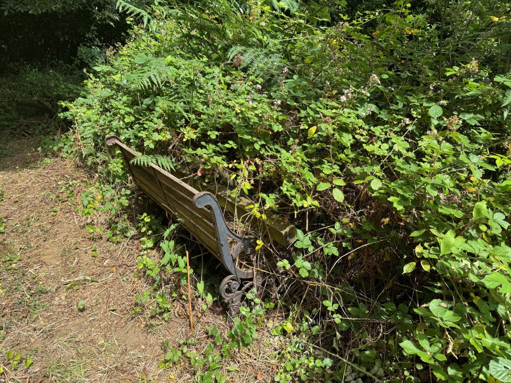 Lot: 75 - VILLAGE CENTRE LAND WITH POTENTIAL AND EXISTING SUMMER HOUSE - An Overgrown Bench